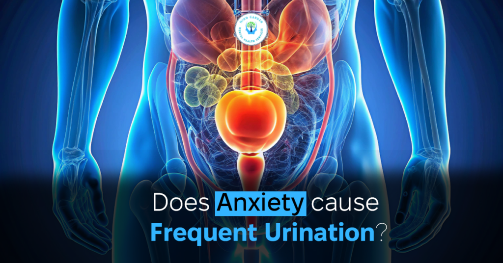 does anxiety cause frequent urination